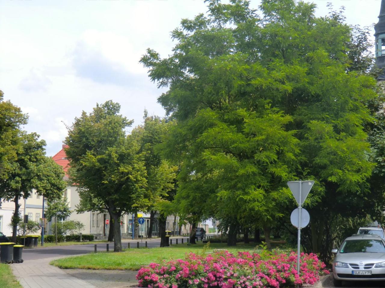 Ferienwohnung Rosenflair Schönebeck Exterior foto